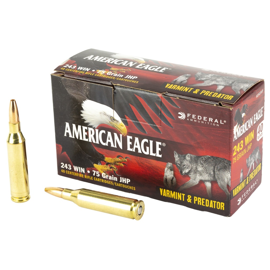 FED AM EAGLE V&P 243WIN 75GR 40/200