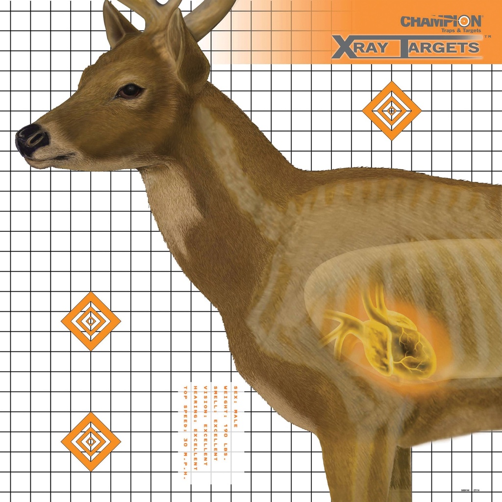 CHAMPION DEER X-RAY TARGET 6/PK