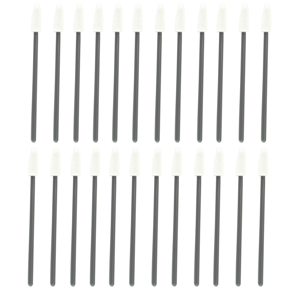 SWAB-ITS GUN-TIPS PREC TIP 24PK