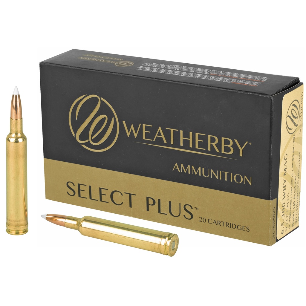 WBY AMMO 6.5-300WBY 140GR AB 20/200