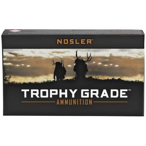 [NOS61046] NOSLER TG 243WIN 100GR PT 20/200