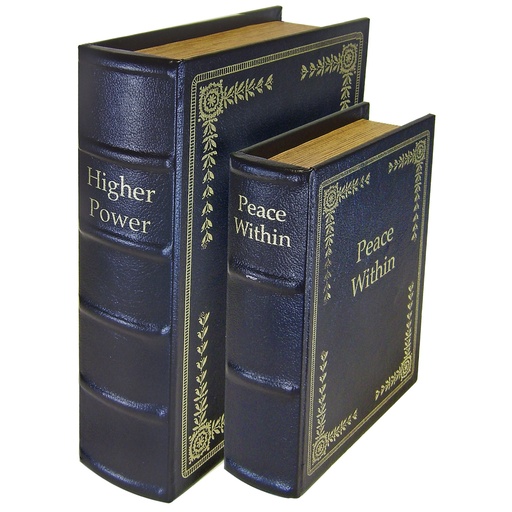 [PSDB2BLK] PS DIVERSION BOOKS - SET OF 2