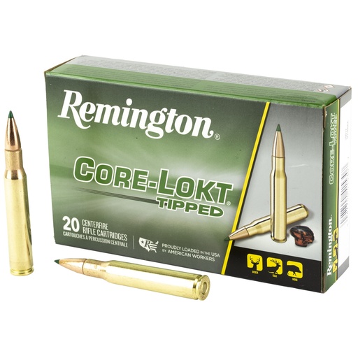 [REM29027] REM 30-06SPRG 150GR CL TIPPED 20/200